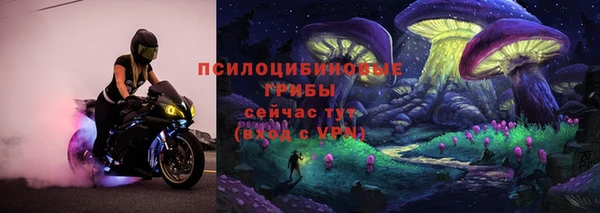ECSTASY Дмитровск