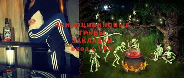 ECSTASY Дмитровск