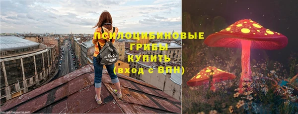ECSTASY Дмитровск