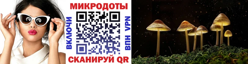 Галлюциногенные грибы Psilocybe  Шагонар 